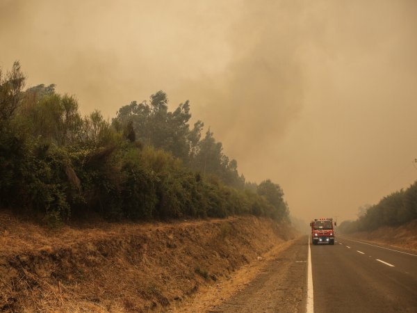 Alerta Roja e incendio llegan hasta la región del Maule Radios Regionales