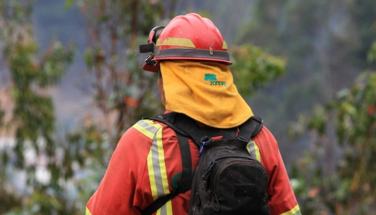 Incendios Forestales Campa A Busca Brigadistas Para Temporada