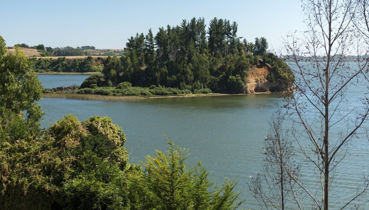 Ministerio De Bienes Nacionales Ordena Habilitar Acceso A Lago Budi