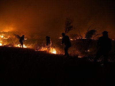 /2023/02/07/cuales-son-las-penas-que-se-arriesgan-por-provocar-incendios-forestales