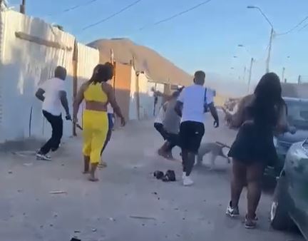 /copiapo-profugo-por-delito-de-maltrato-animal-quedo-en-prision-preventiva