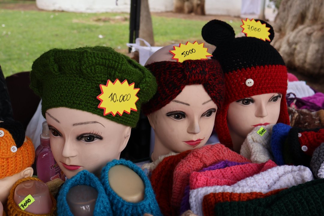 /copiapo-dara-la-bienvenida-a-las-fiestas-patrias-con-feria-inclusiva-de