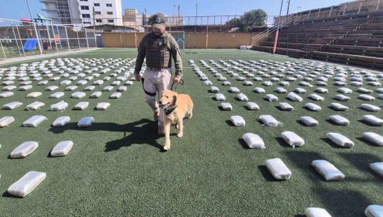 /local/antofagasta-decomisan-mas-de-700-kilos-de-marihuana-en-operativo