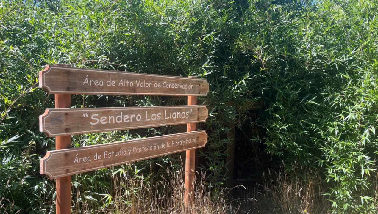 /mas-de-20-personas-participan-en-caminata-por-la-salud-mental-en-el-parque