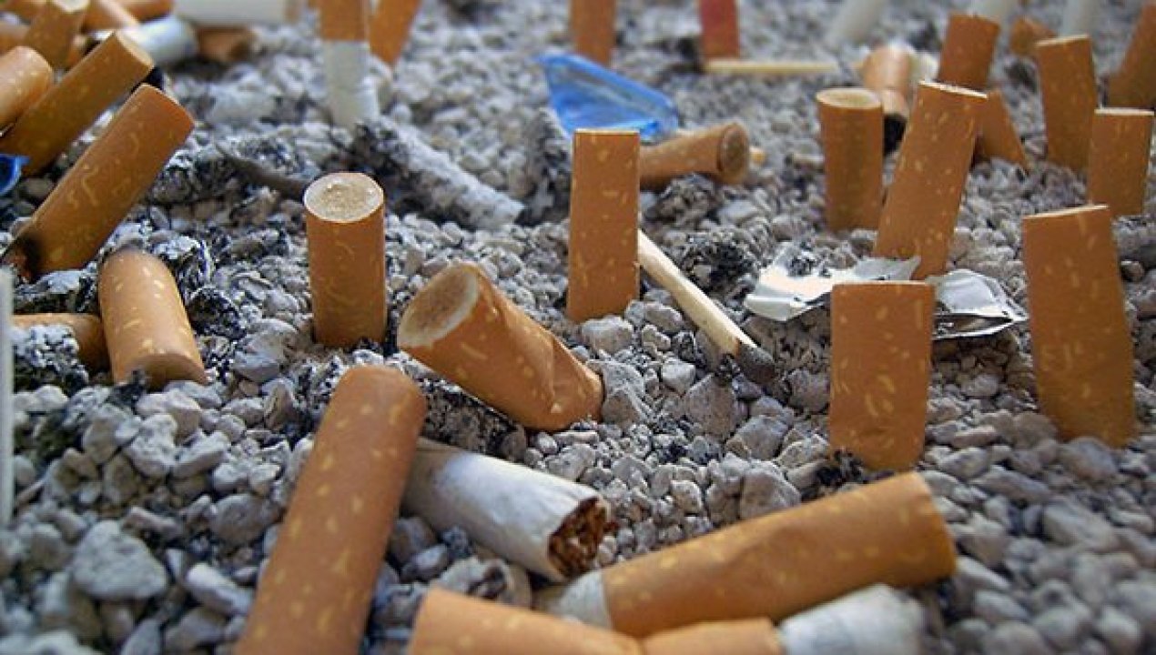 /puerto-montt-sera-sede-de-la-recoleccion-de-colillas-de-cigarro-mas-grande