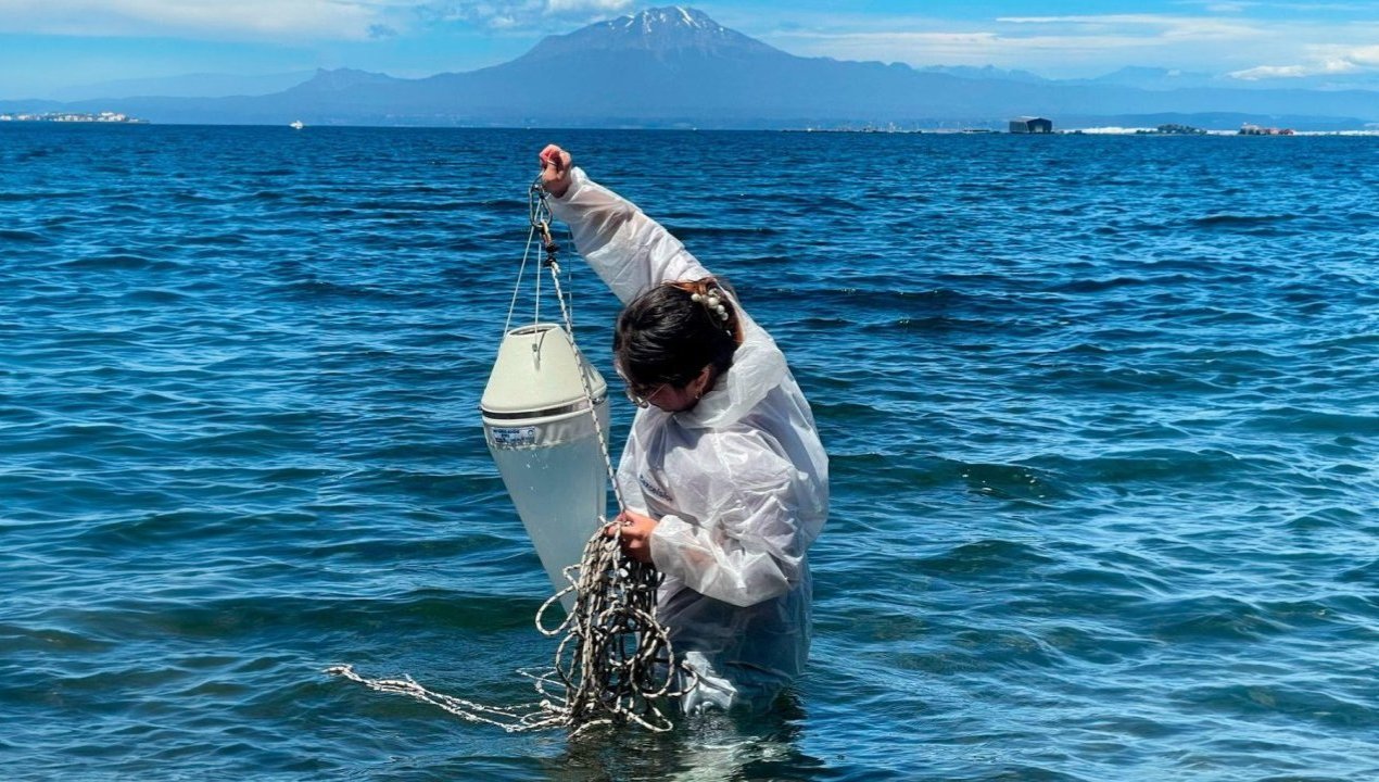 /grave-contaminacion-en-el-lago-llanquihue-detectan-altos-niveles-de
