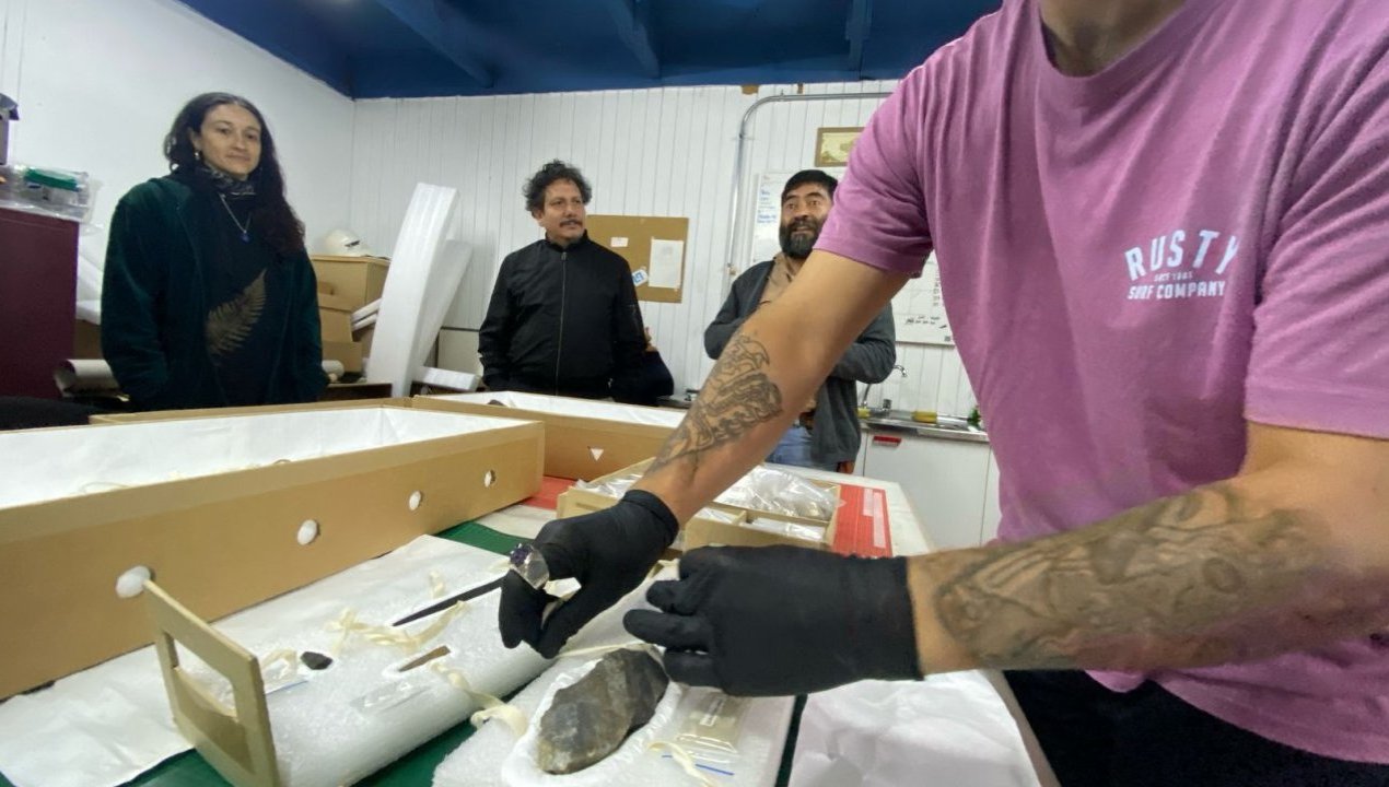 /piezas-arqueologicas-de-monte-verde-vuelven-a-puerto-montt-tras-decadas-en