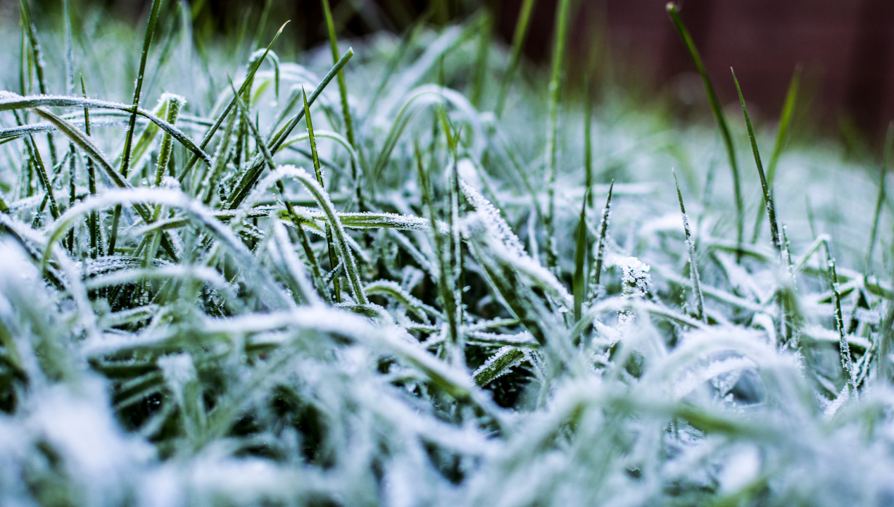/frio-extremo-en-puerto-montt-termometro-bajo-a-5-6-c-este-domingo-la