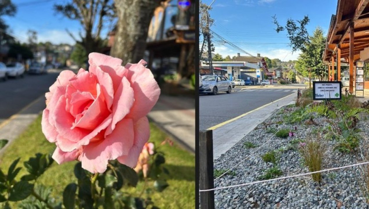 /adios-a-la-ciudad-de-las-rosas-puerto-varas-enfrenta-polemica-por-retiro