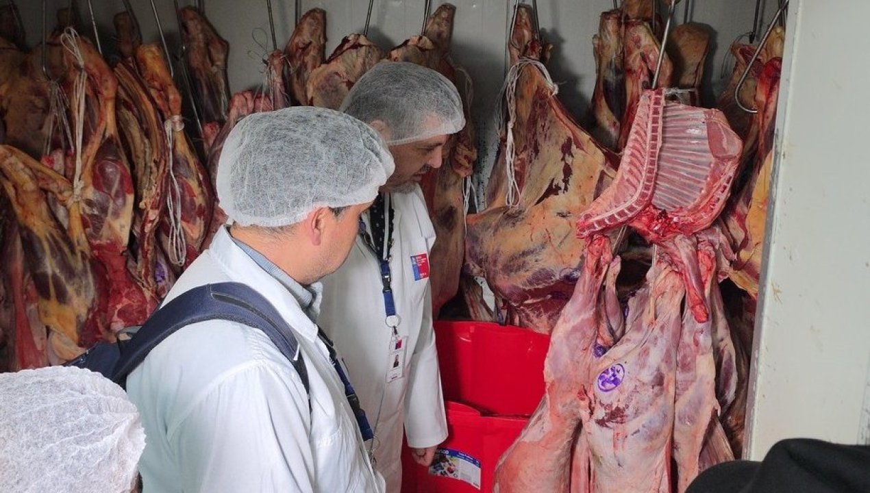 /balance-fiscalizaciones-fin-de-ano-seremi-de-salud-realiza-mas-de-85