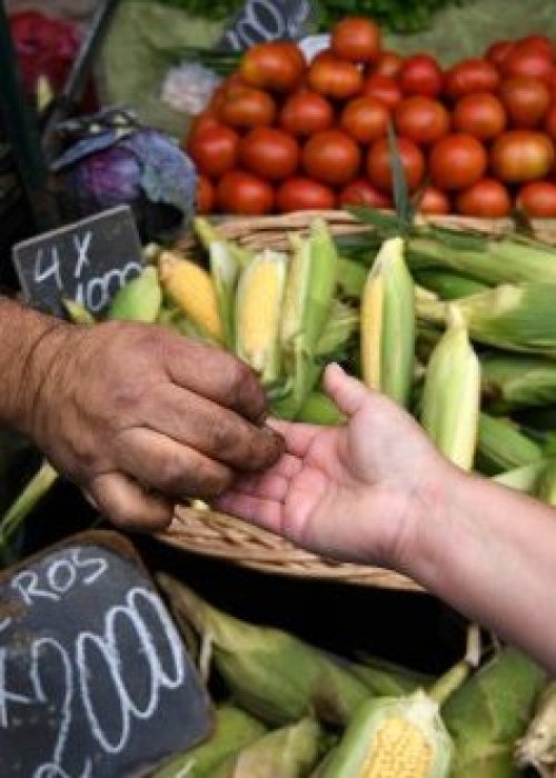 Fiestas Patrias: Sociedad Nacional de Agricultura dice que no debiese haber alzas en precio de productos
