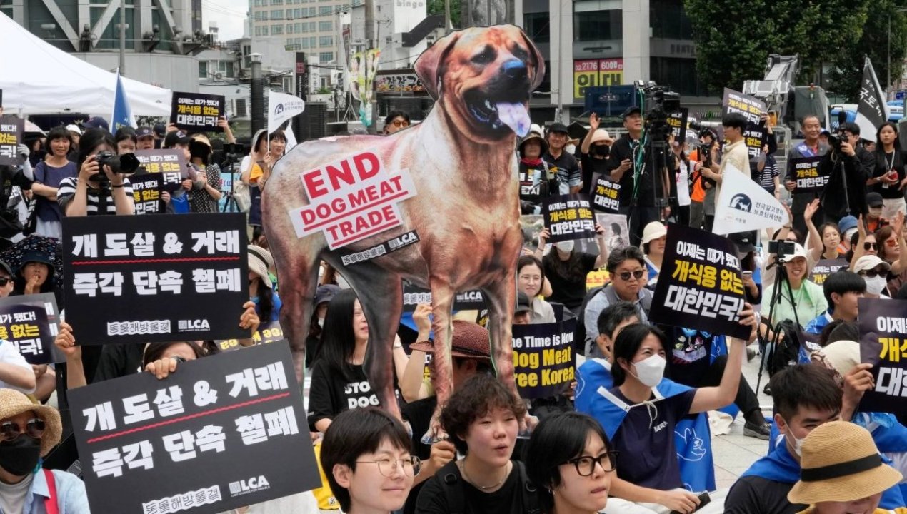 /internacional/peninsula-coreana/corea-del-sur/corea-del-sur-aprueba-ley-que-prohibe-el-consumo-de-carne-de-perro-desde