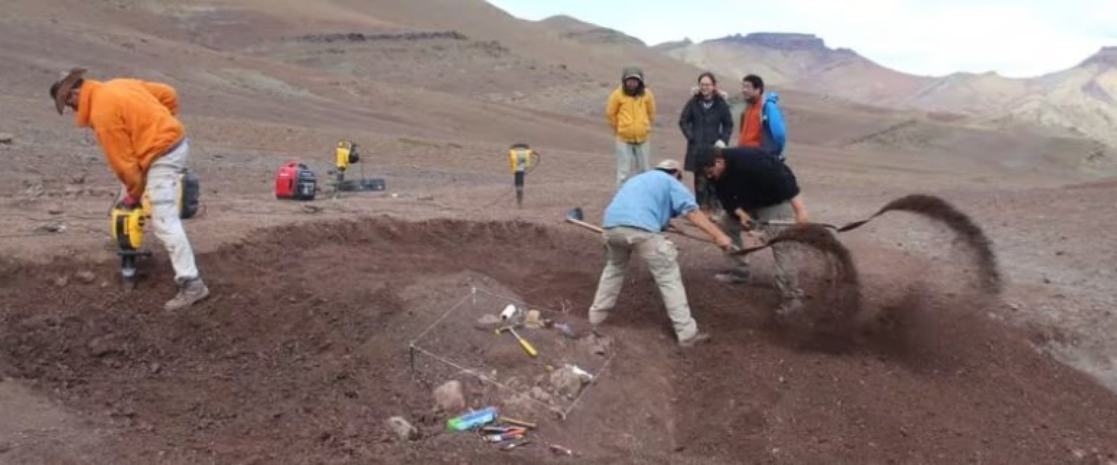 Patagonia: Hallan fósiles del mamífero más grande que haya vivido con los dinosaurios