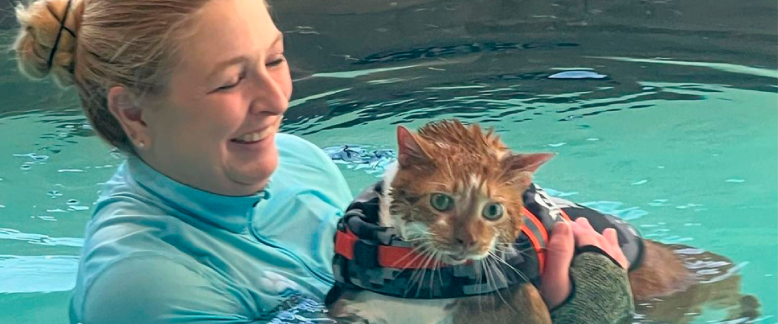 Ty a clases de natación: La historia del gato en terapia para bajar de peso