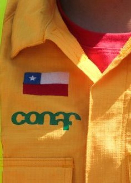 Más de 200 funcionarios de CONAF se encuentran en paro en La Araucanía