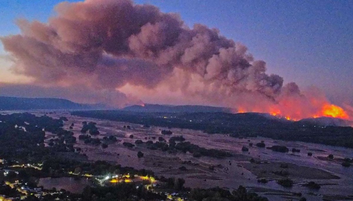 Incendios forestales en zona centro sur: Más de 12 mil hectáreas ...