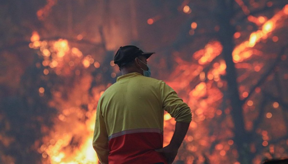 Continúan los incendios forestales en la zona centro sur: ya van más de ...