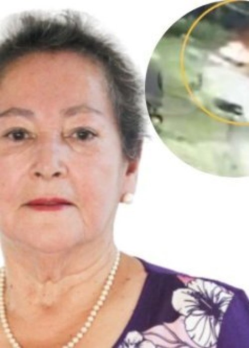 Video clave en desaparición de concejala de Villa Alegre