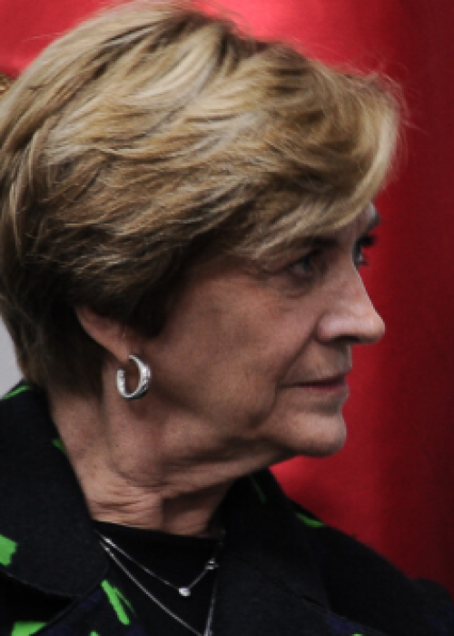 Matthei propone convocar al Cosena tras liberación de sicario del 