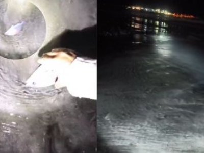 IRRESPONSABILIDAD TOTAL | Graban video en playa durante fuerte recogida de mar en Chile