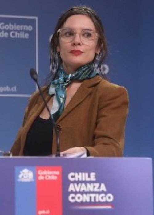 Vallejo: Matthei y Boric son víctimas de campañas sucias