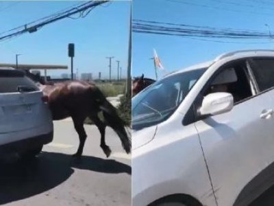 Viralizan maltrato animal: llevaba amarrado a caballo a alta velocidad