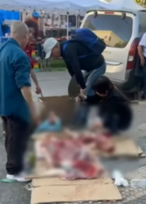 Impacto en Estación Central: mujer fue grabada faenando un animal en plena calle