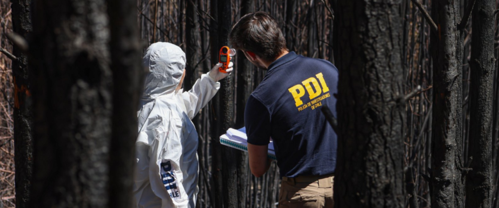 PDI detiene a voluntario de Bomberos acusado de provocar incendio forestal en La Cruz