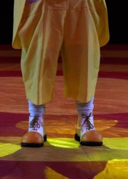 Unesco declara Patrimonio Inmaterial de la Humanidad al circo de tradición familiar de Chile