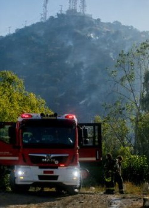 Incendios forestales siguen activos y Ejecutivo endurece advertencias a responsables