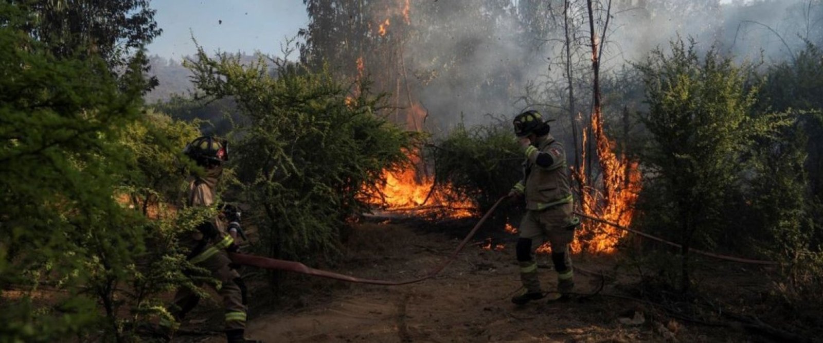 Autoridades alertan récord de detenidos por incendios forestales en Chile