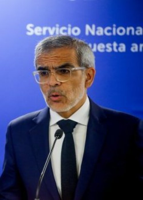 Balance incendios: Más de 44 mil hectáreas arrasadas por el fuego en el centro-sur del país