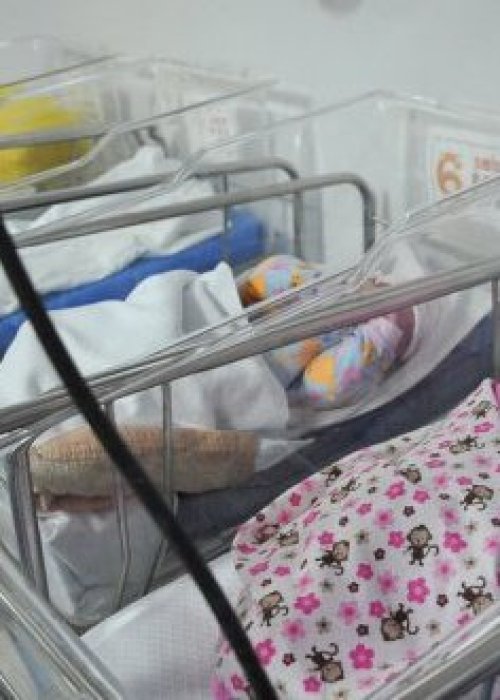 Comisión de Diputados aprueba proyecto que prohíbe la maternidad subrogada