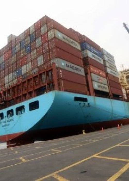 Cerezas chilenas enfrentan nueva temporada compleja: envíos llegaron antes del Año Nuevo Chino