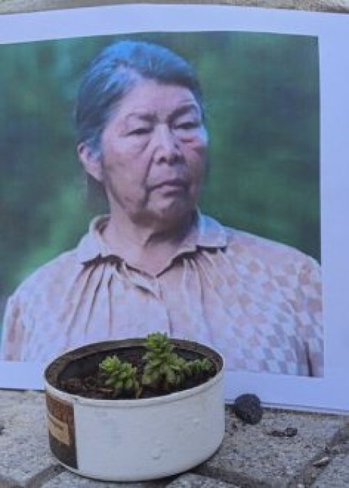 Fiscalía confirmó hallazgo de osamenta humana en terreno donde vivía Julia Chuñil en Máfil