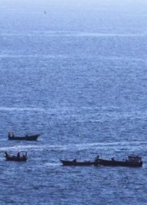 Pesca ilegal aumenta en incautaciones, pero 96% de denuncias sigue sin sanción