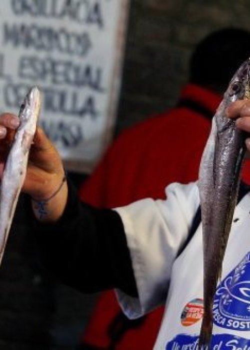 Indespa abre fondo de hasta $15 millones para impulsar acuicultura de pequeña escala