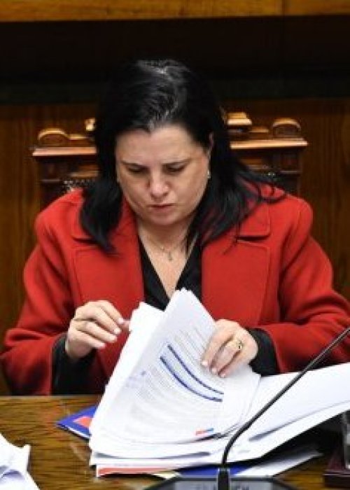 Oposición anuncia interpelación contra ministra de Seguridad Trinidad Steinert