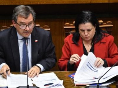 Oposición anuncia interpelación contra ministra de Seguridad Trinidad Steinert