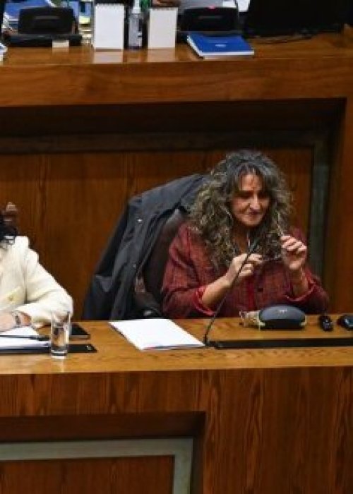 Kast pide la renuncia de subsecretarios de Seguridad y Prevención del Delito tras llegada de Arrau