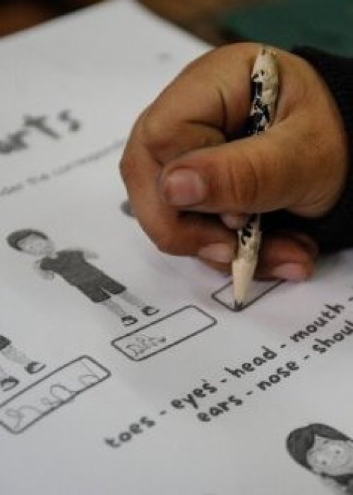 Comienza debate parlamentario por polémica reforma al SAE: Gobierno busca reintroducir el mérito académico