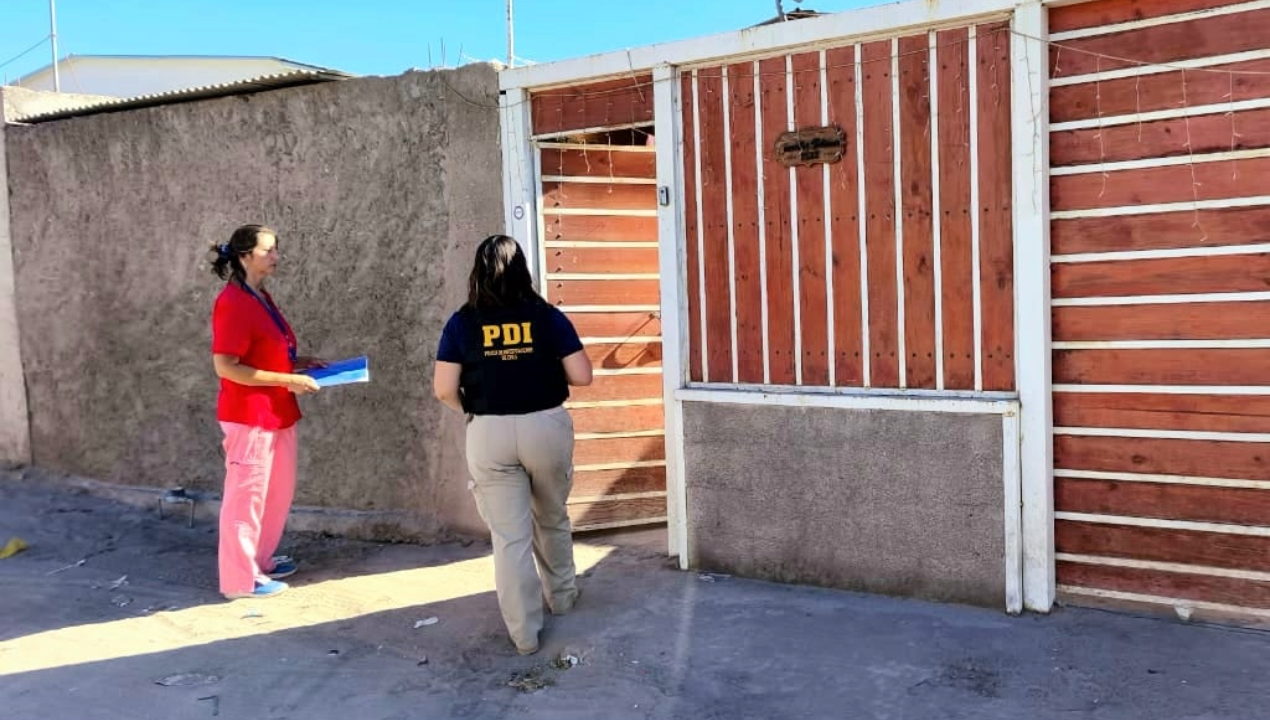 /bidema-antofagasta-rescata-a-tres-perritos-en-estado-critico-de